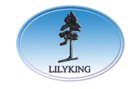 Lilyking Spare Parts Lilyking Spare Parts